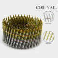 Hot Selling Stainless Steel Coil Nail with Good Quality